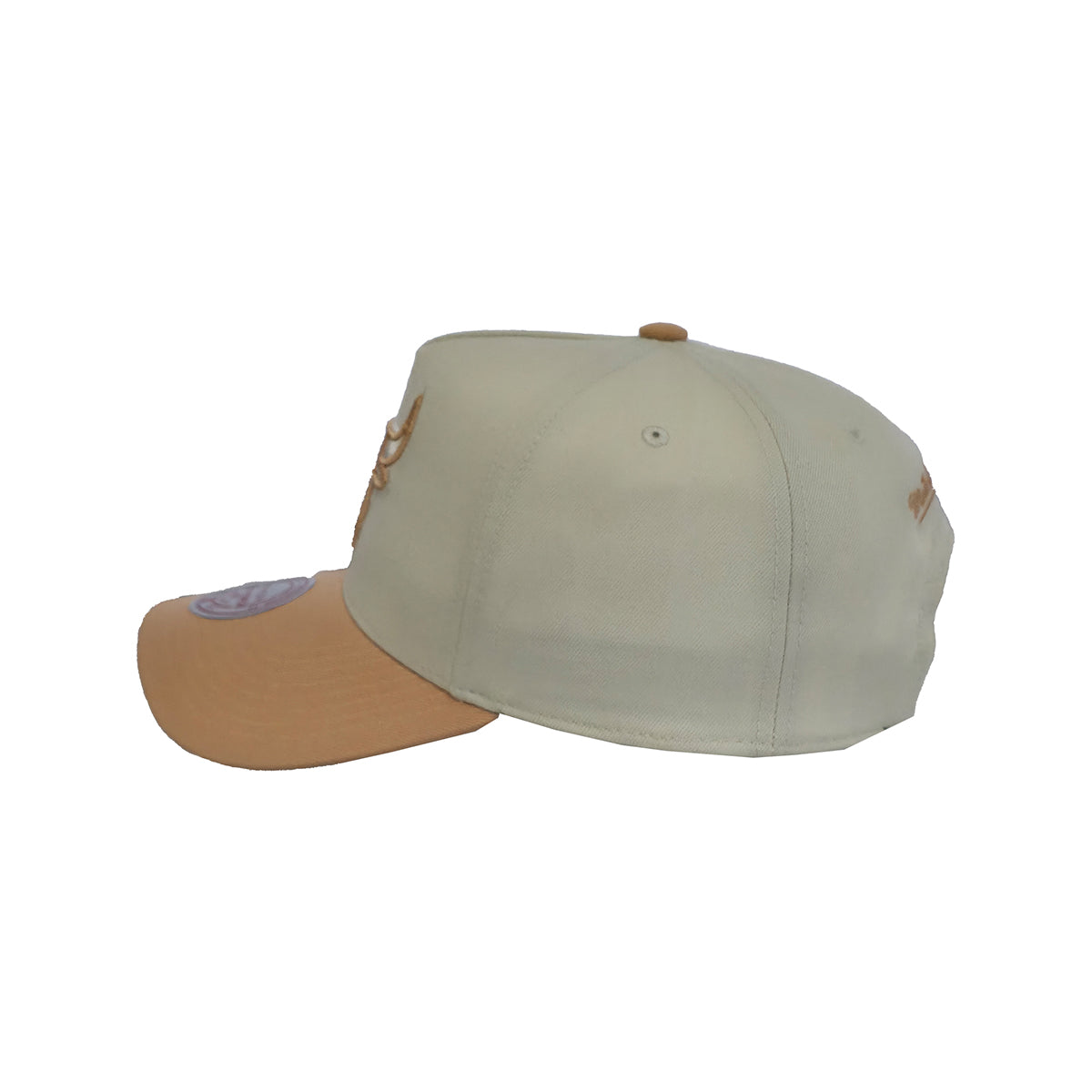 Mitchell & Ness Snapback NBA Chicago Bulls Dust Pro chalk