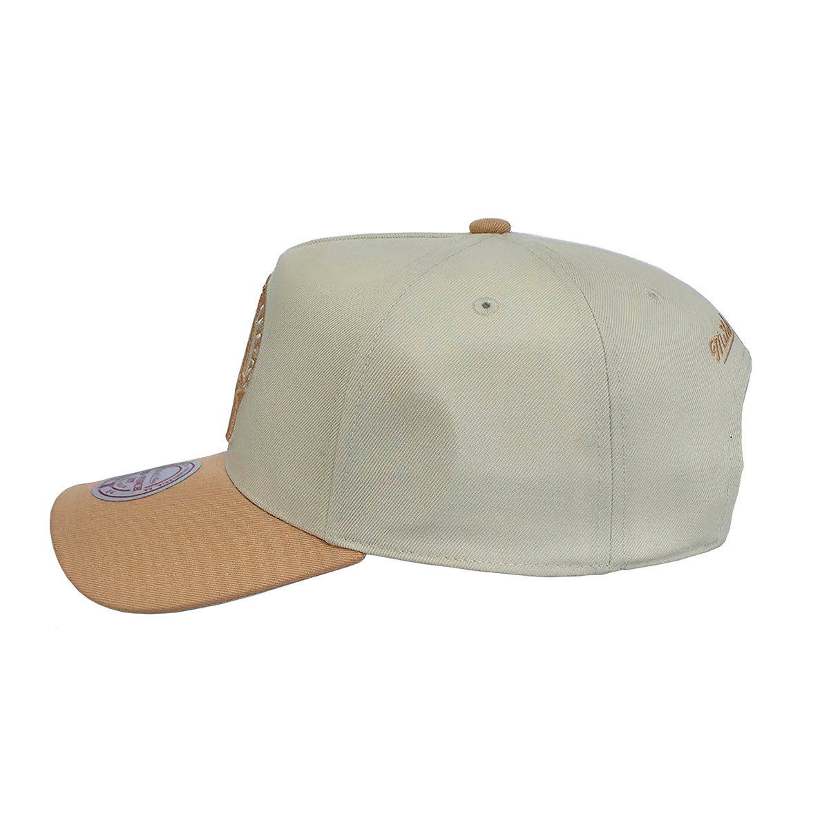 Mitchell & Ness Snapback NBA Boston Celtics Dust Pro chalk