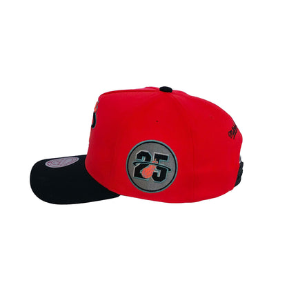 Mitchell & Ness Snapback Cap Miami Heat In The City Pro pink