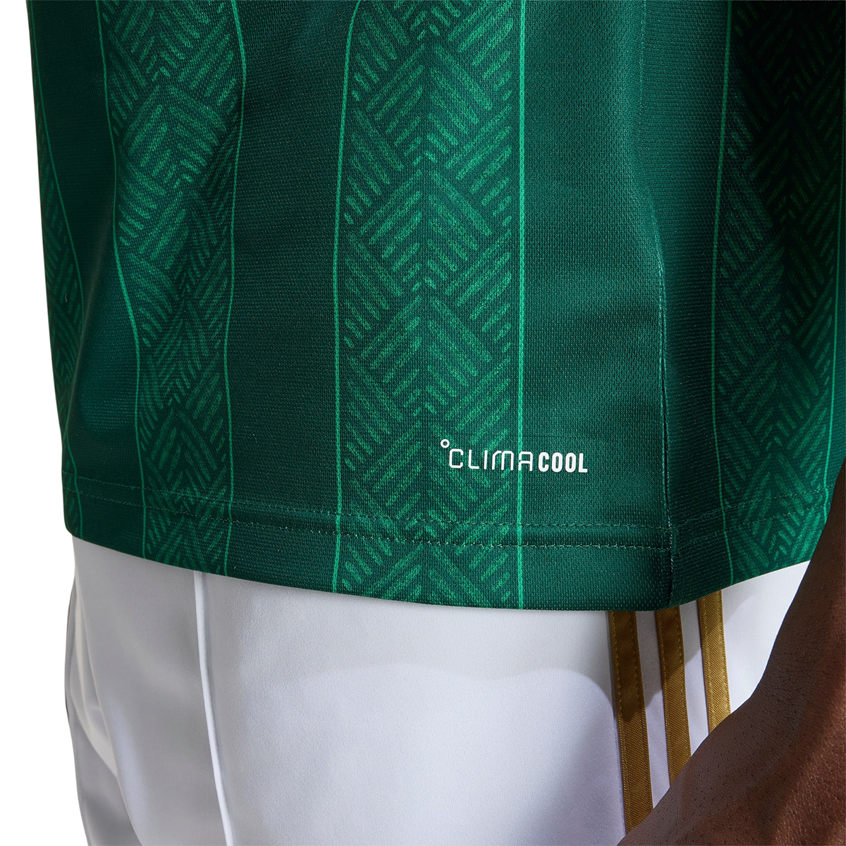 adidas Südafrika Auswärtstrikot 2026 green